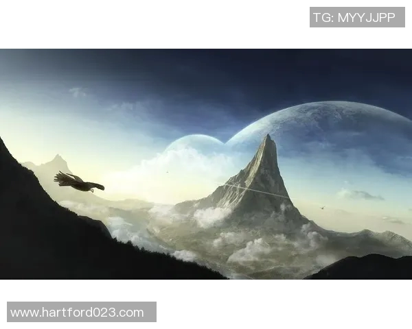 华籍足球明星的璀璨星空与他们的辉煌成就探秘