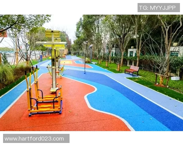 全民健身器材大全助力健康生活提升运动乐趣与效果的全面指南